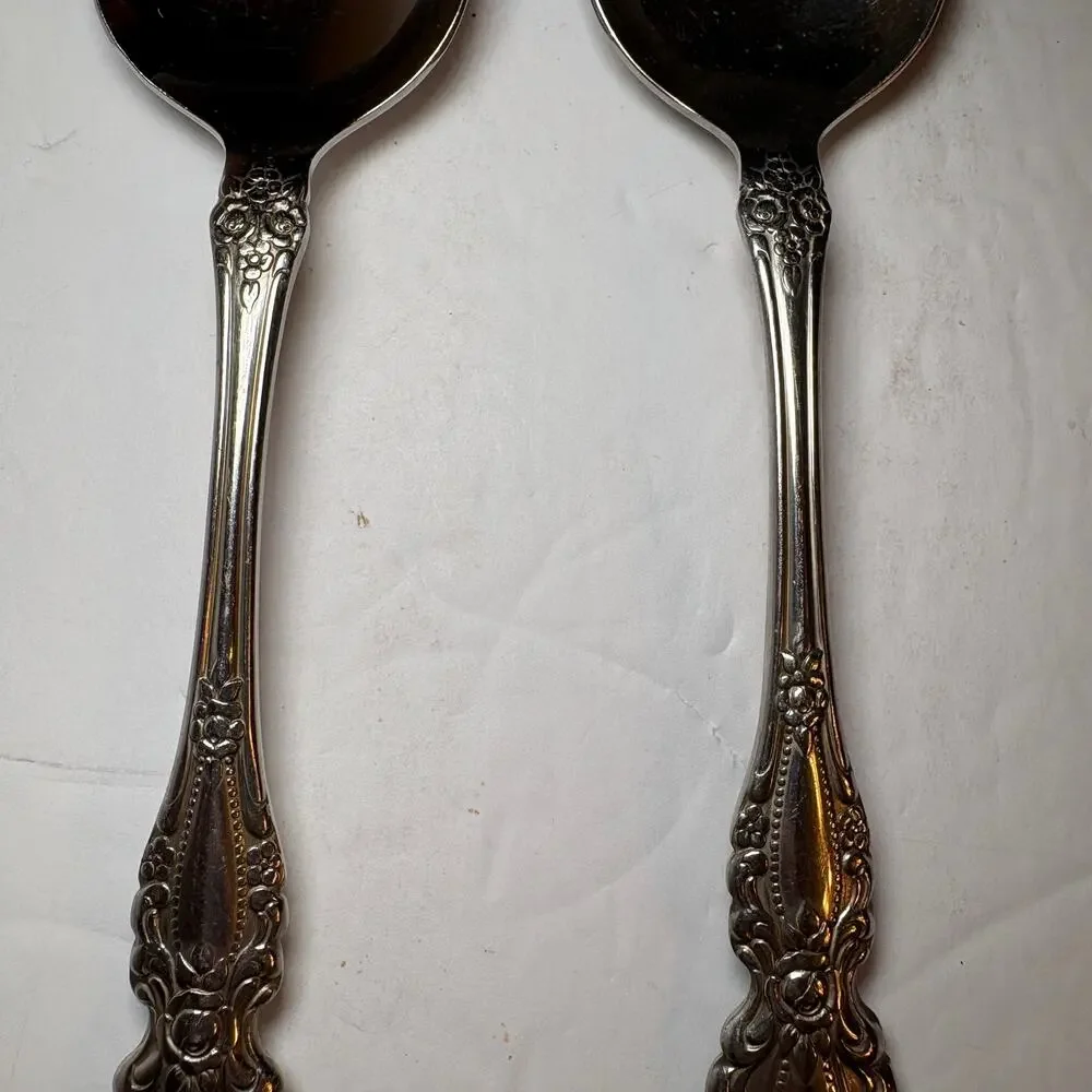 Set 2 Oneida RAPHAEL Stainless Distinction Deluxe Glossy Serving Spoons